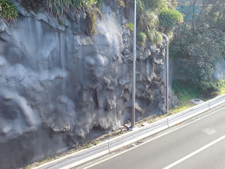 Figure 5. Shotcrete-stabilized cliff in New Zealand.