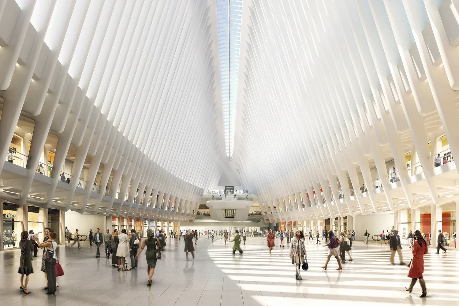 View10_Oculus B2 looking W warm copy.jpg
