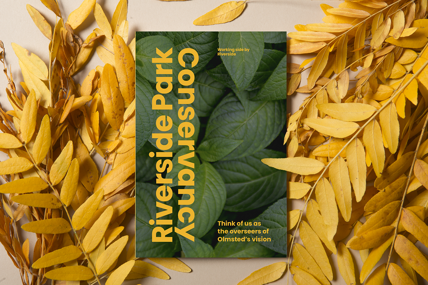 RSPC_FoldOut-CoverLeaves.png