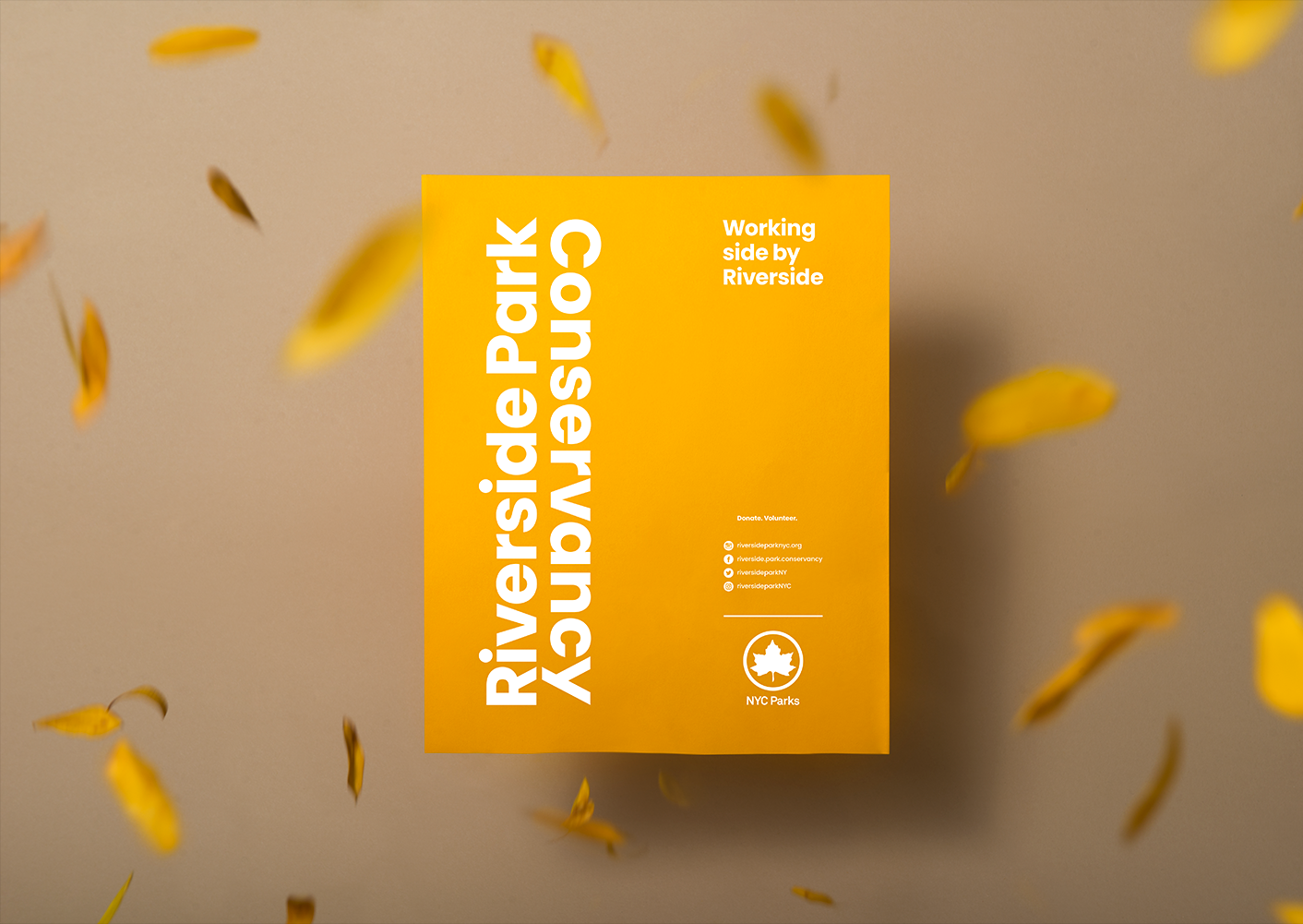 RSPC_Poster-Honeylocust.png