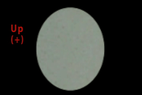 Figure 2: Microscopic, top-down view of single micro-blower's membrane movement.