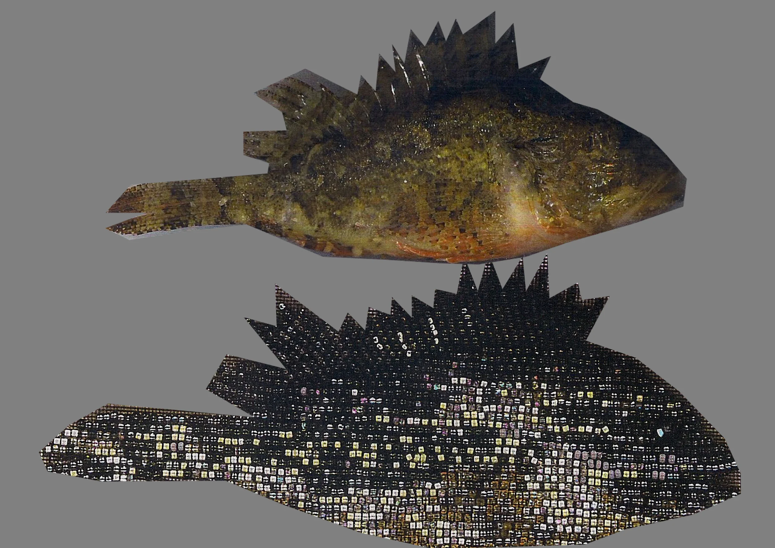 fish5.jpg