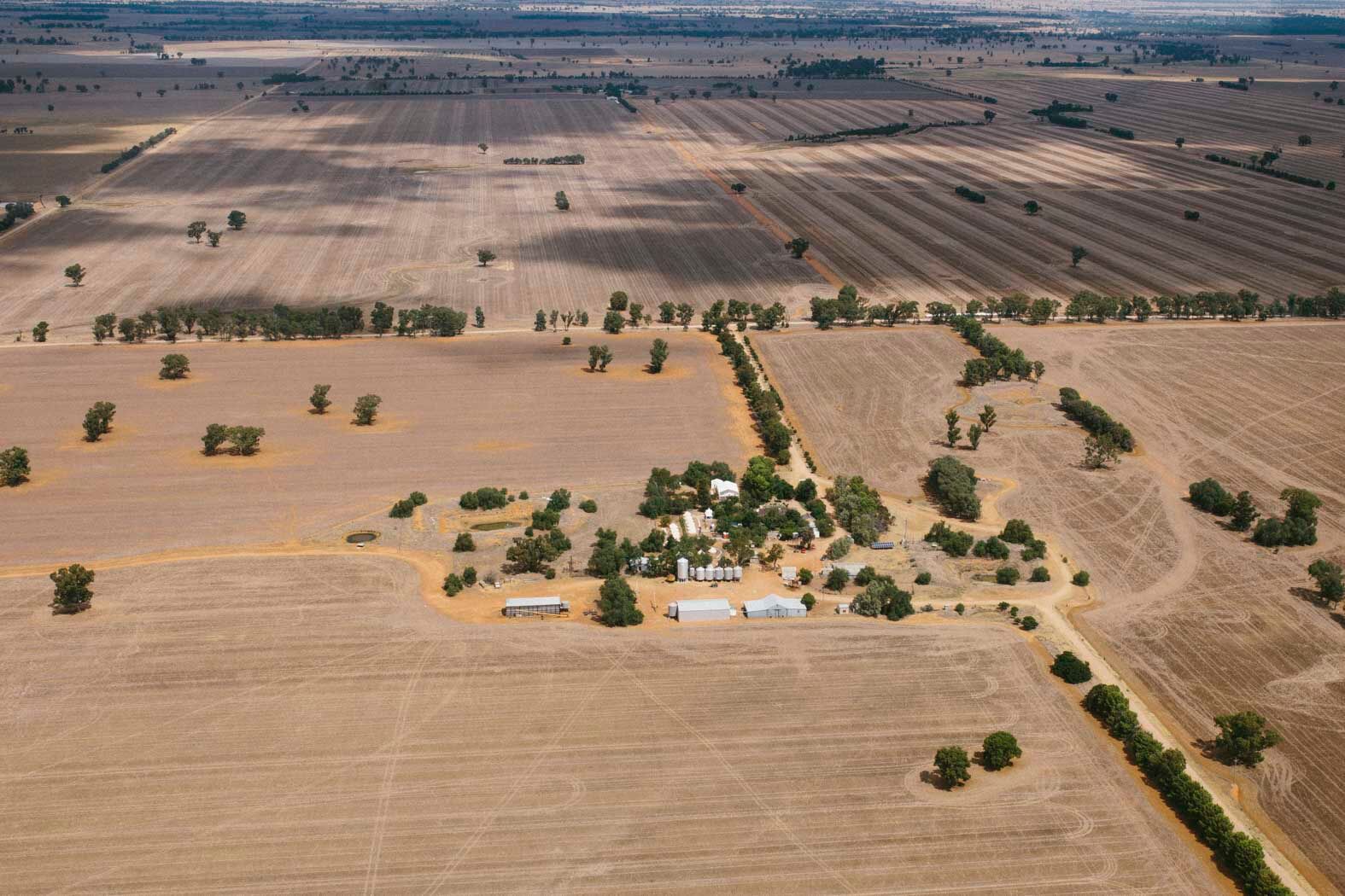 Jennifer Burch of Jennifer Burch Photography was given a light plane ride by a nearby farm owner for an aerial view of the festival! "It was simply spectacular," she said.&nbsp;
