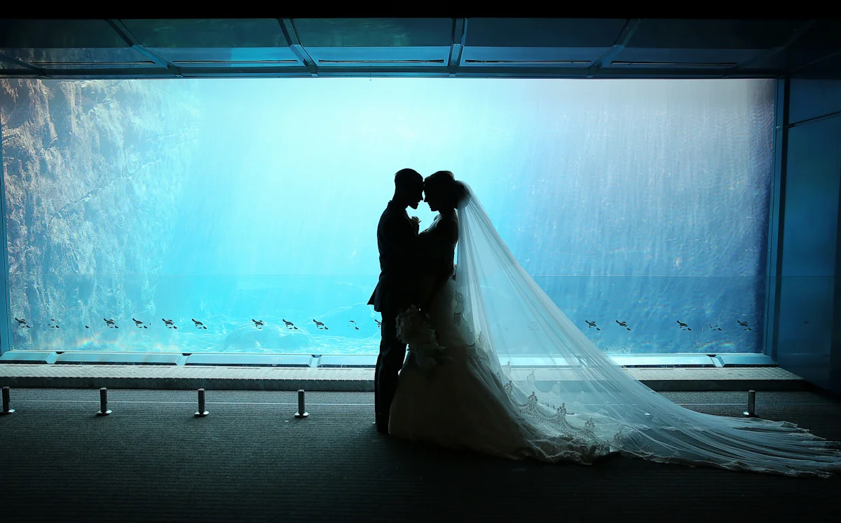 Sydney's Taronga Centre Unveils New Wedding Ceremony Location