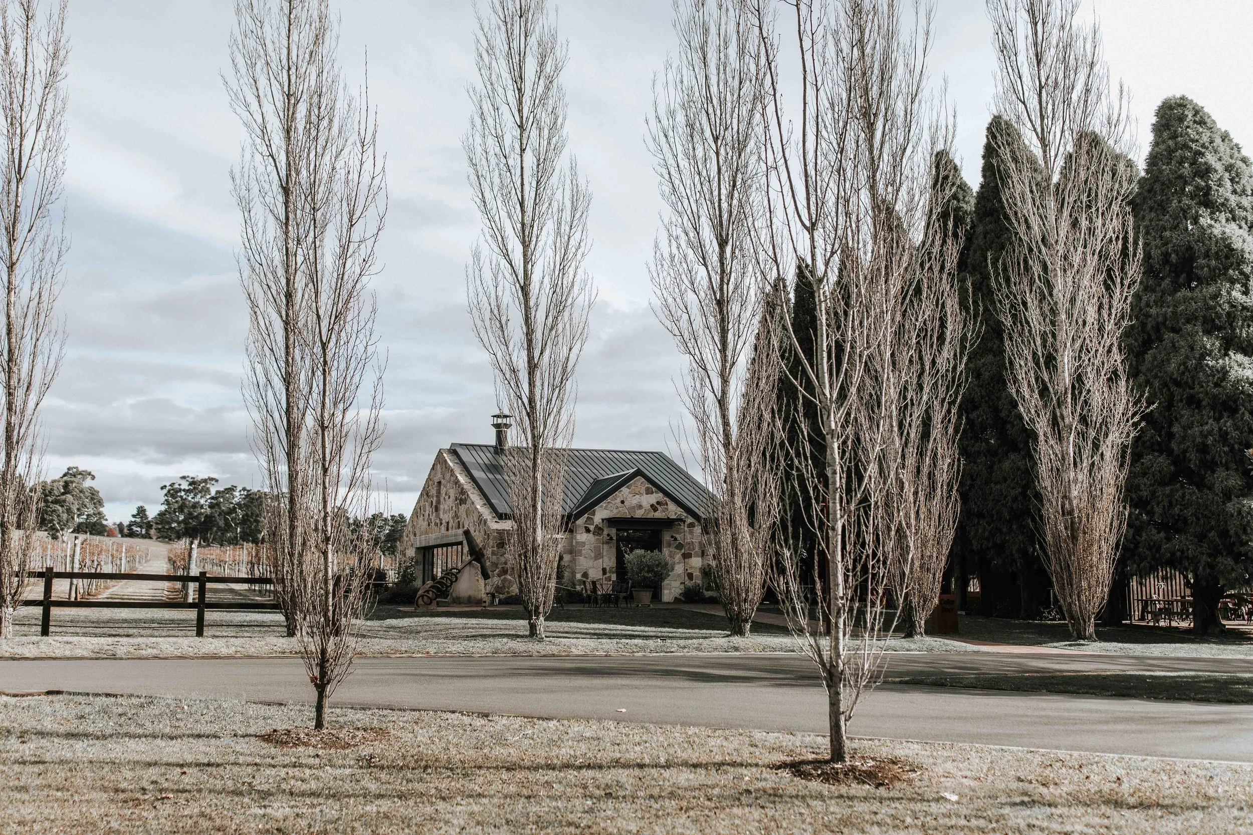 alyce-wil-flint-wedding-41 copy.jpg