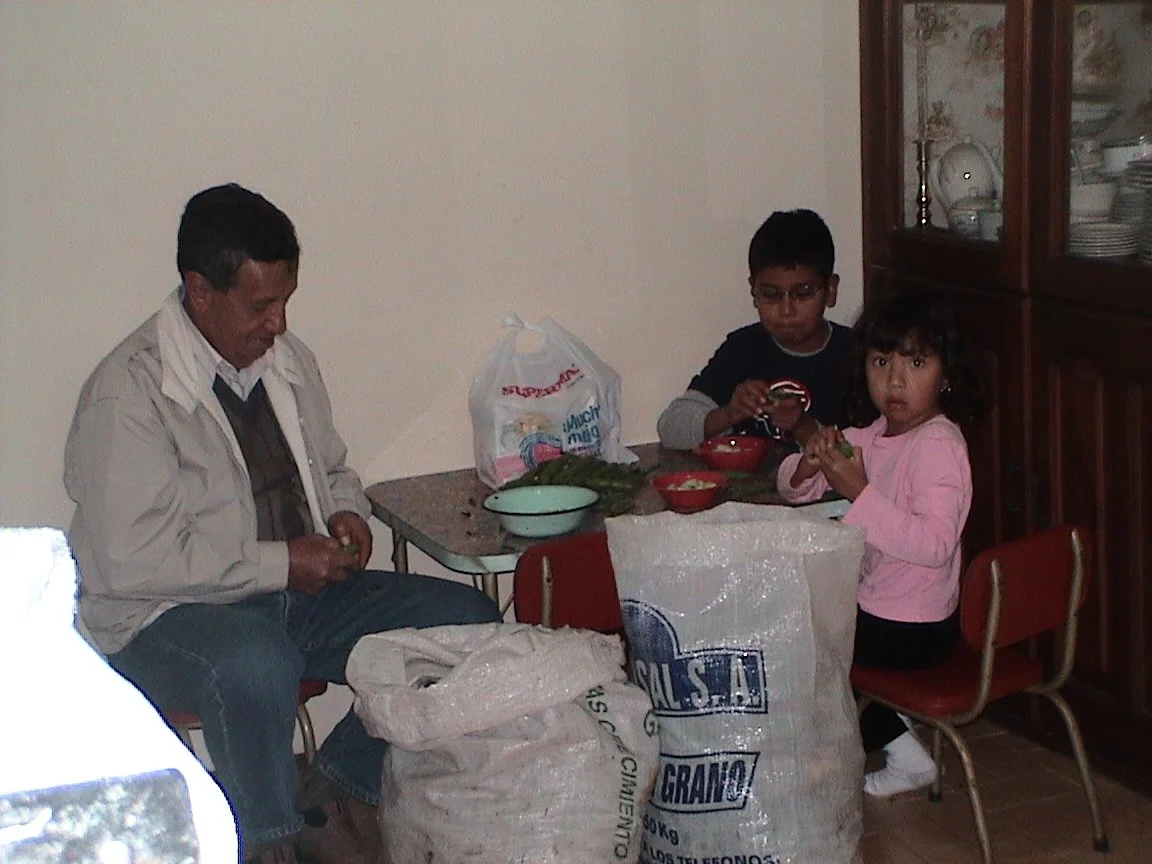 p5.jpg