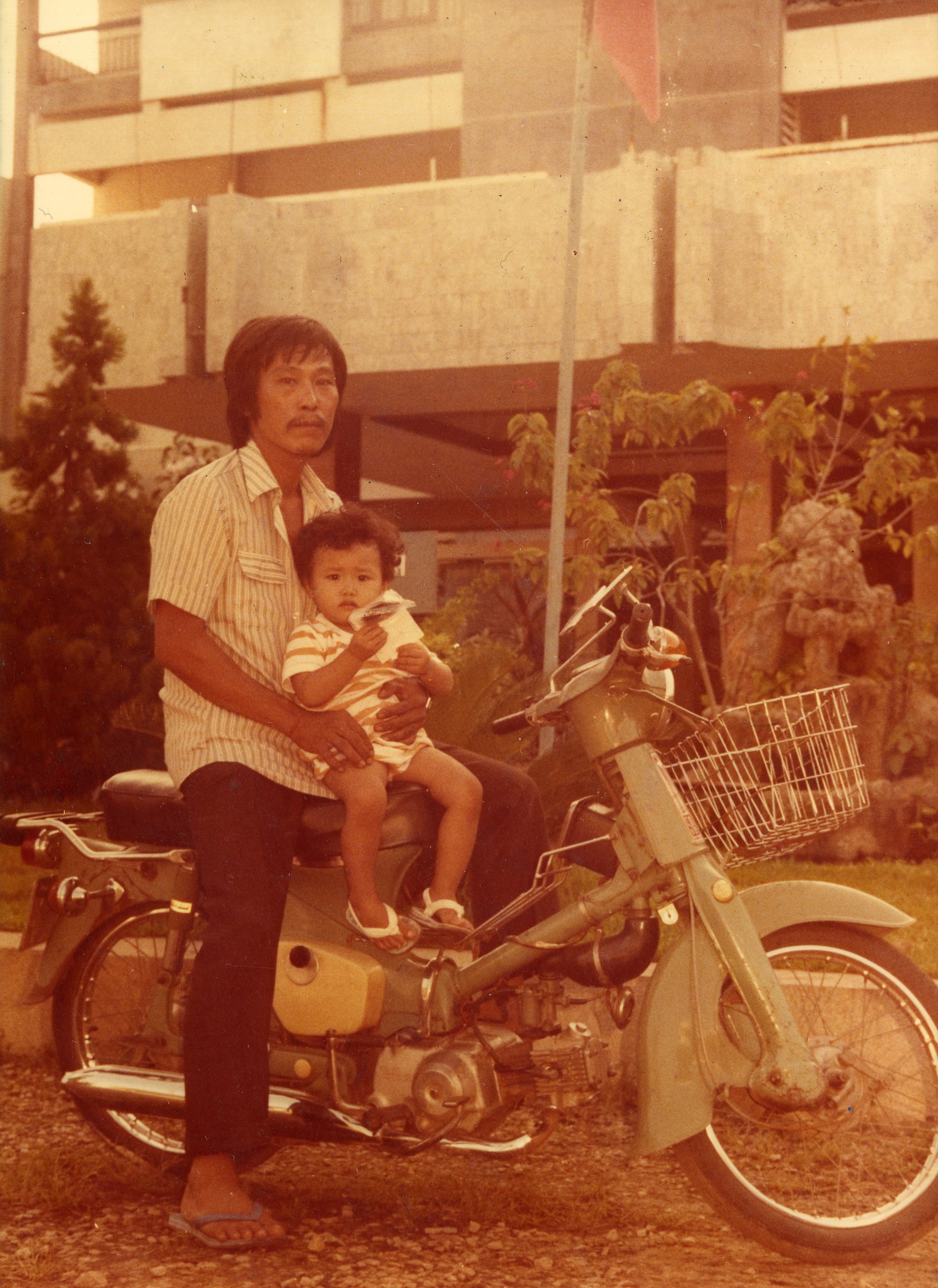 ivy004.jpg