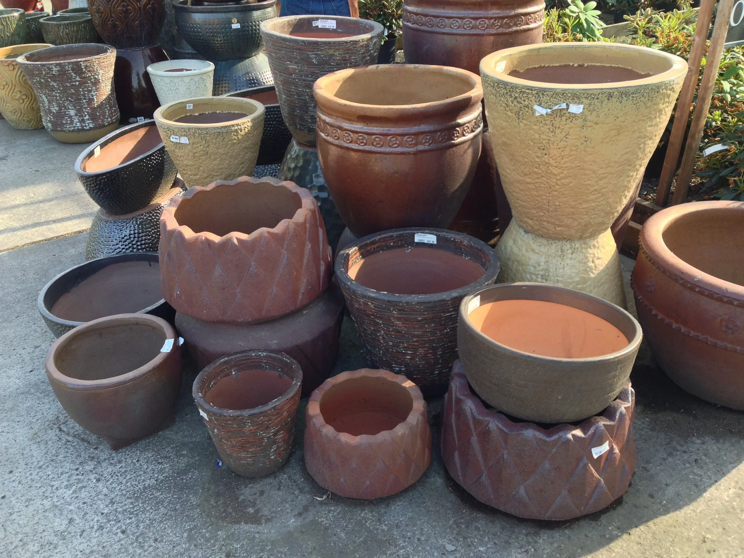 the array of container choices at a local nursery. (better would have been to include something in this photo for scale)