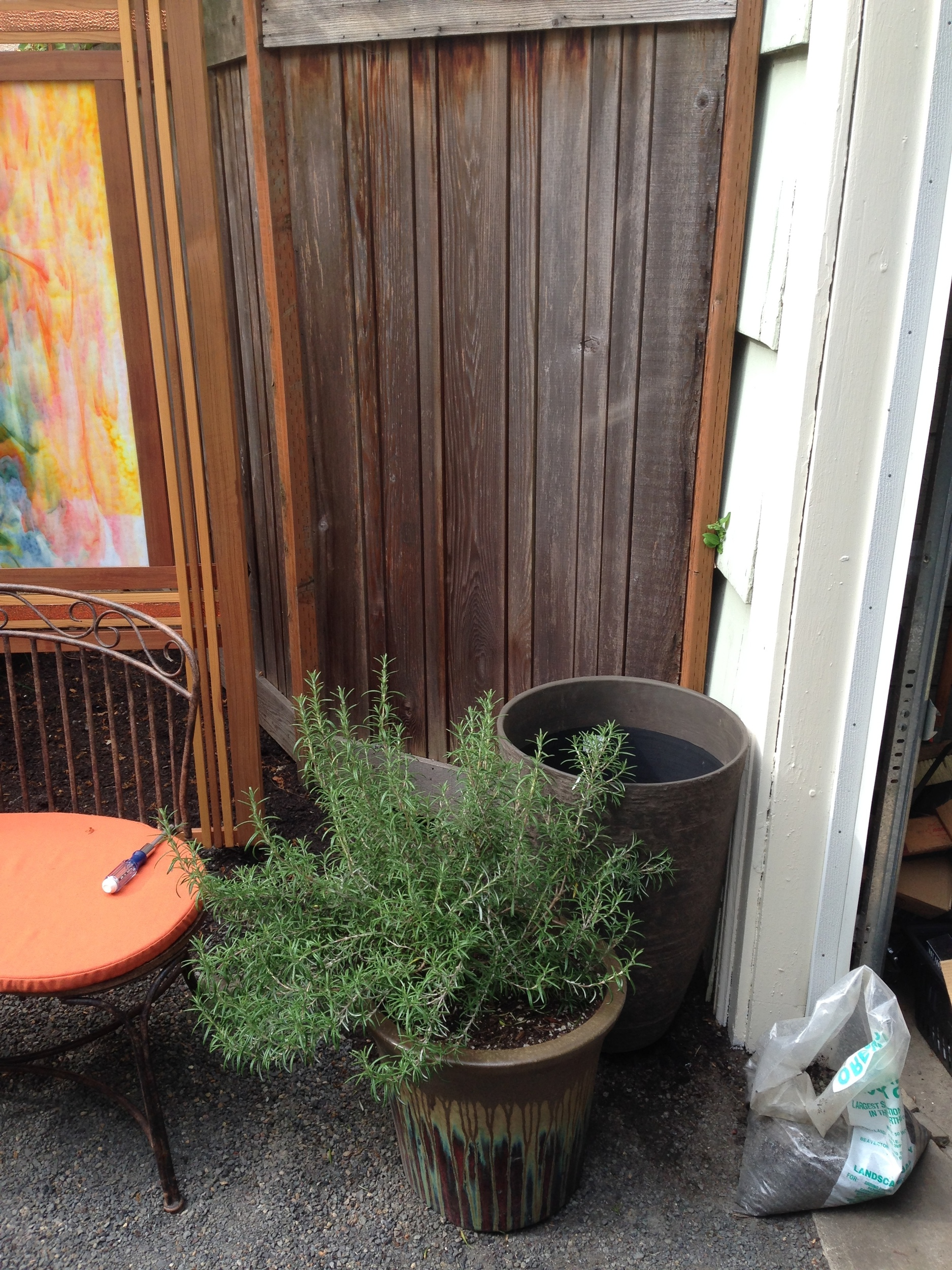 vertical pots (like the one in back) are key to a composition in a small space. the next day we acquired a third pot, also vertical in form, mid-height between the two shown above. this completed a "triangle" of container heights.