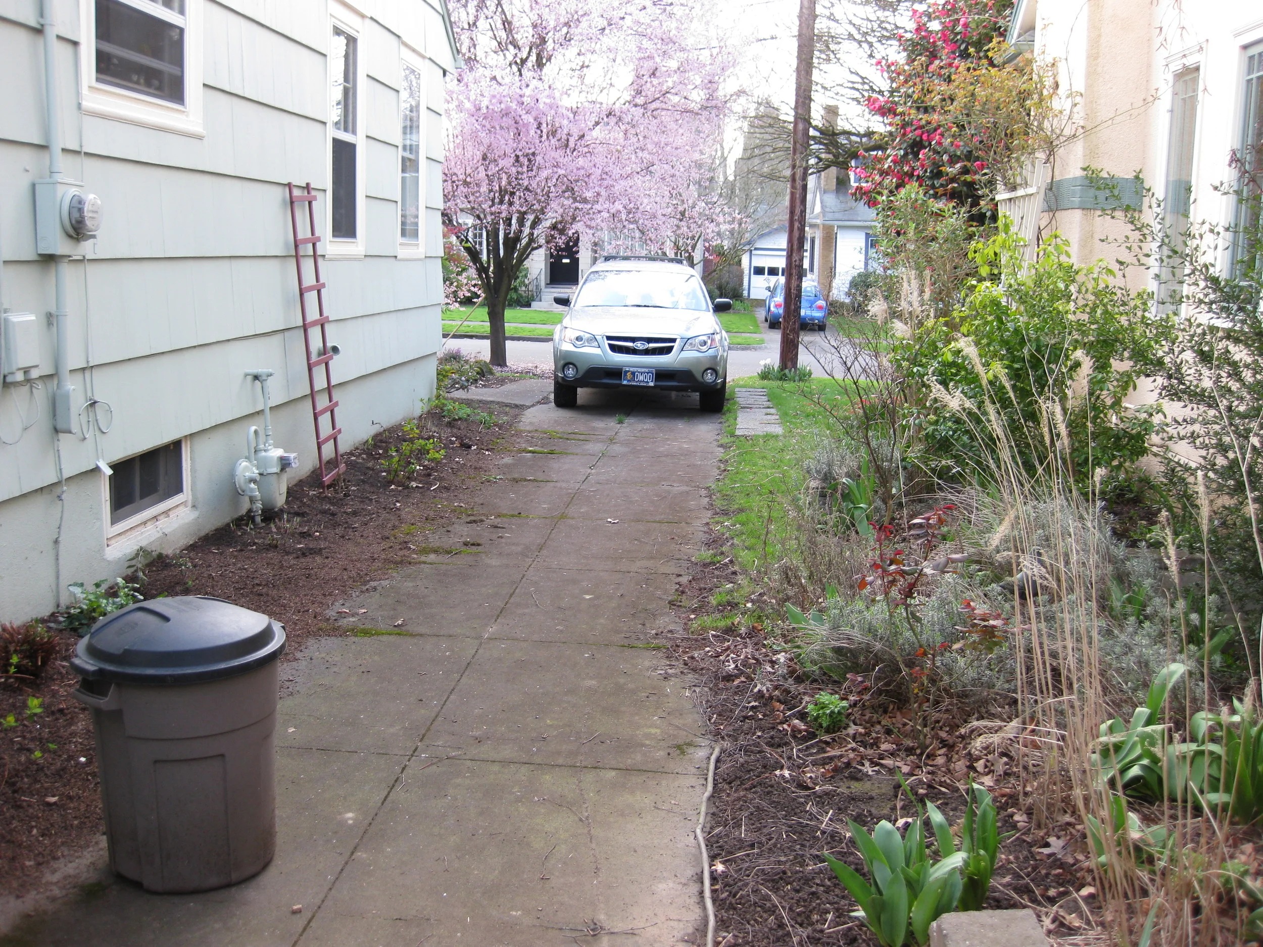 Driveway BEFORE