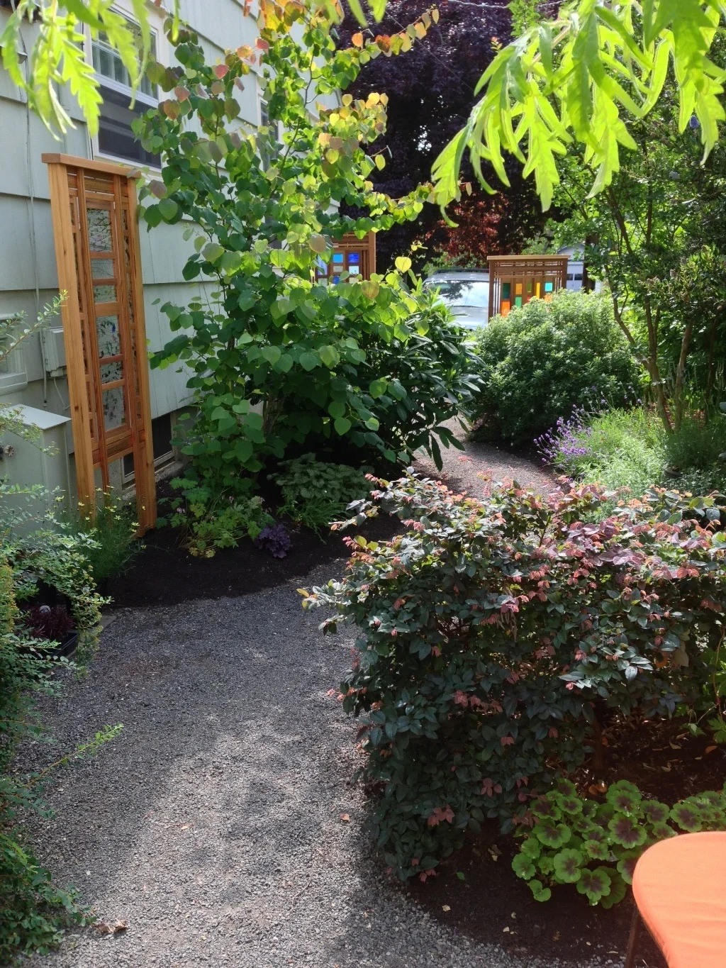 Driveway AFTER