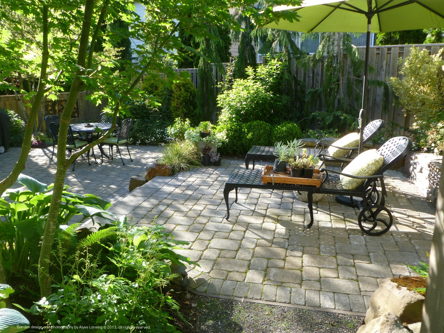 Leon 1 ALansing 20130603_031 back STAR.JPG