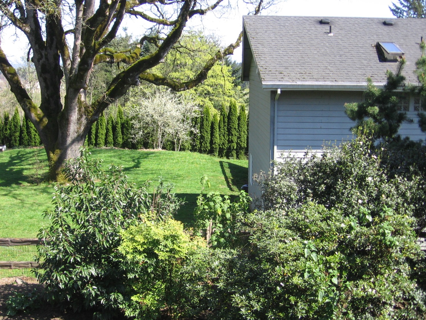2007年4月6日。从我家看出去的风景。注意邻居的房子。它有两层楼高。