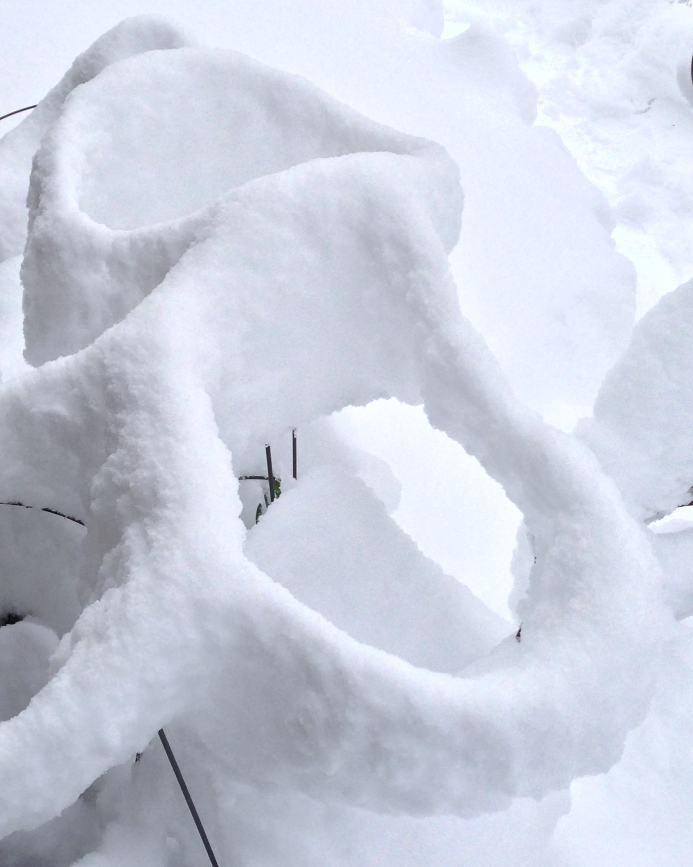 AlyseLansing_snowpatterns1