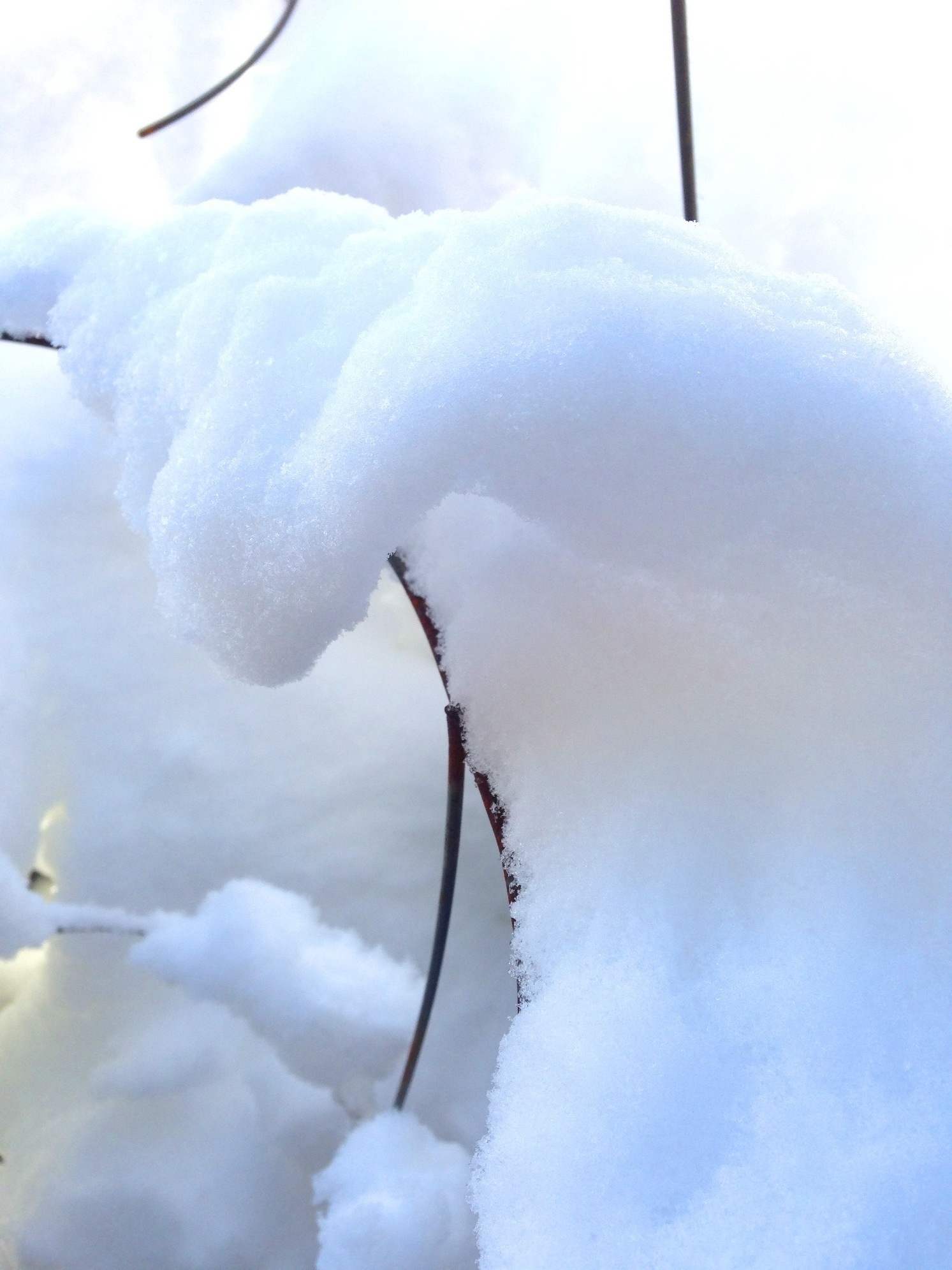 AlyseLansing_snowpatterns5