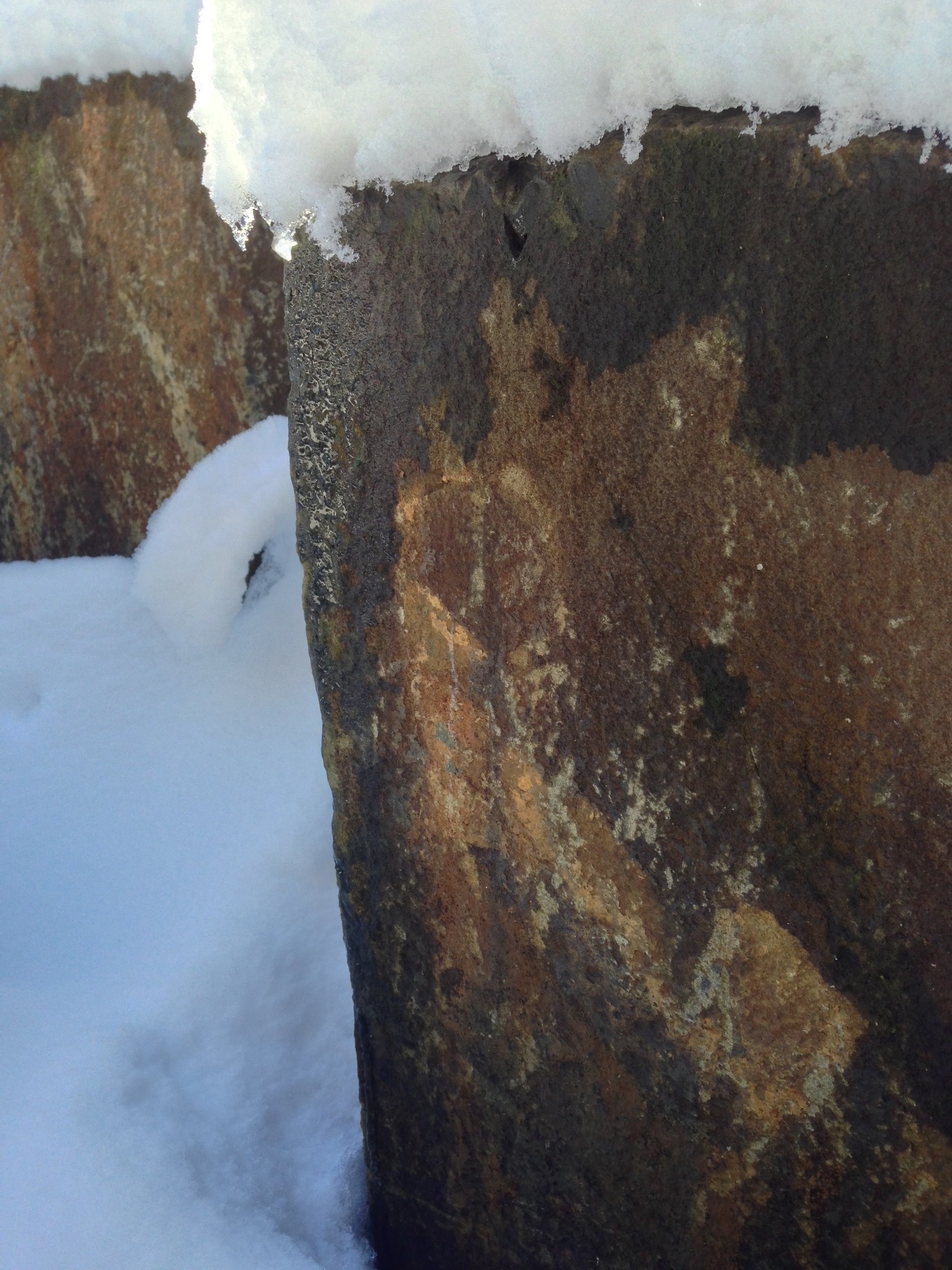 AlyseLansing_snowpatterns8