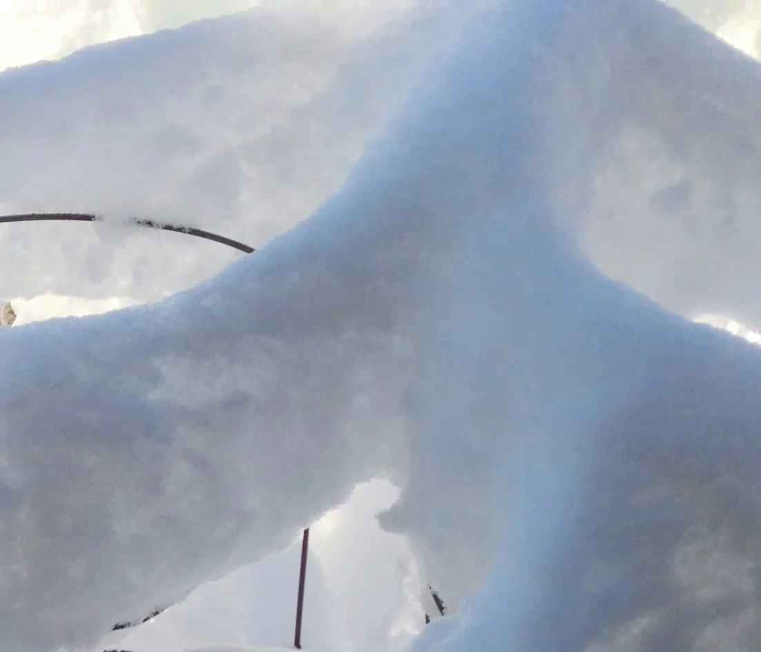 Wednesday Vignette: Snow Patterns