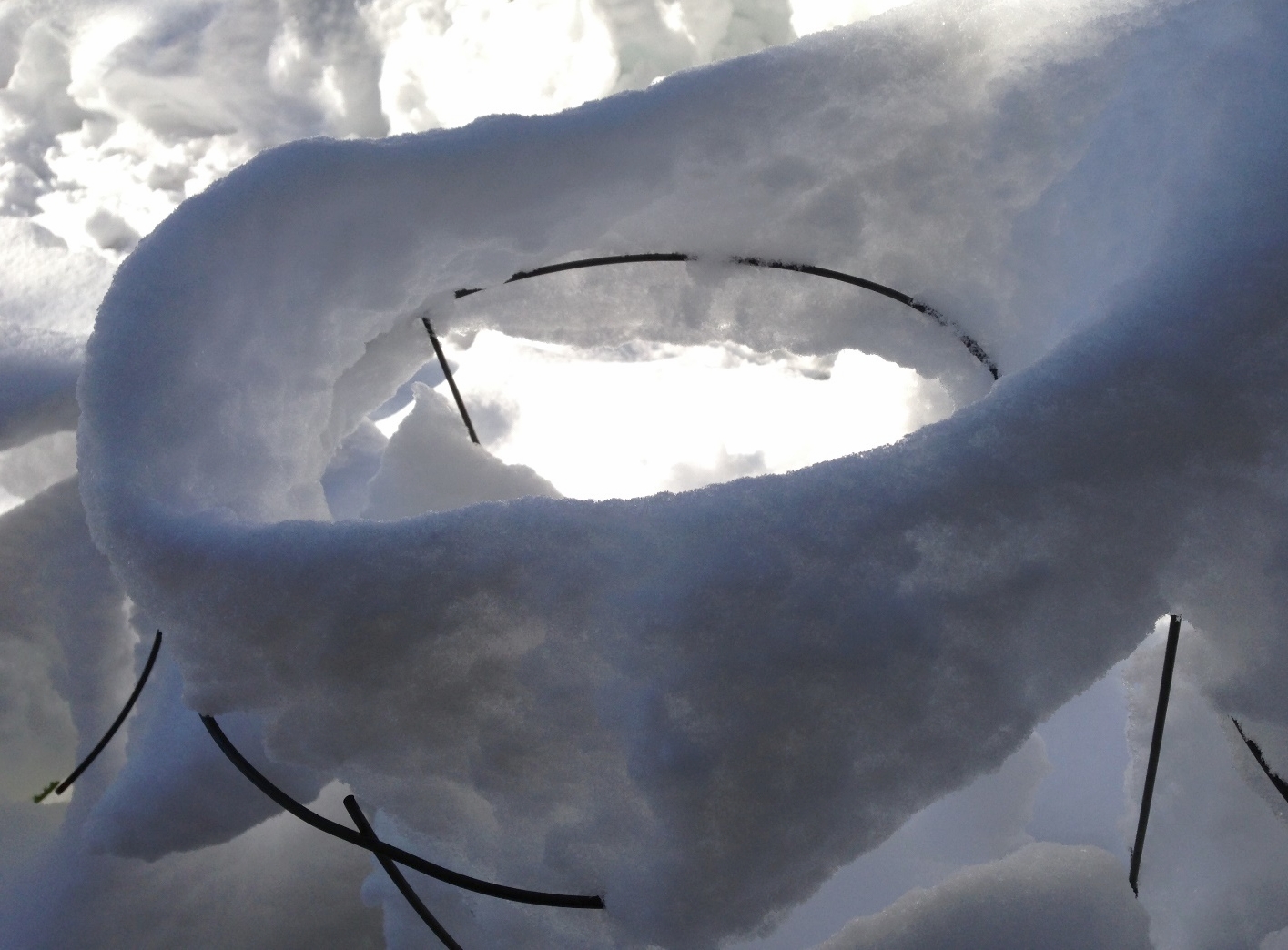 AlyseLansing_snowpatterns3