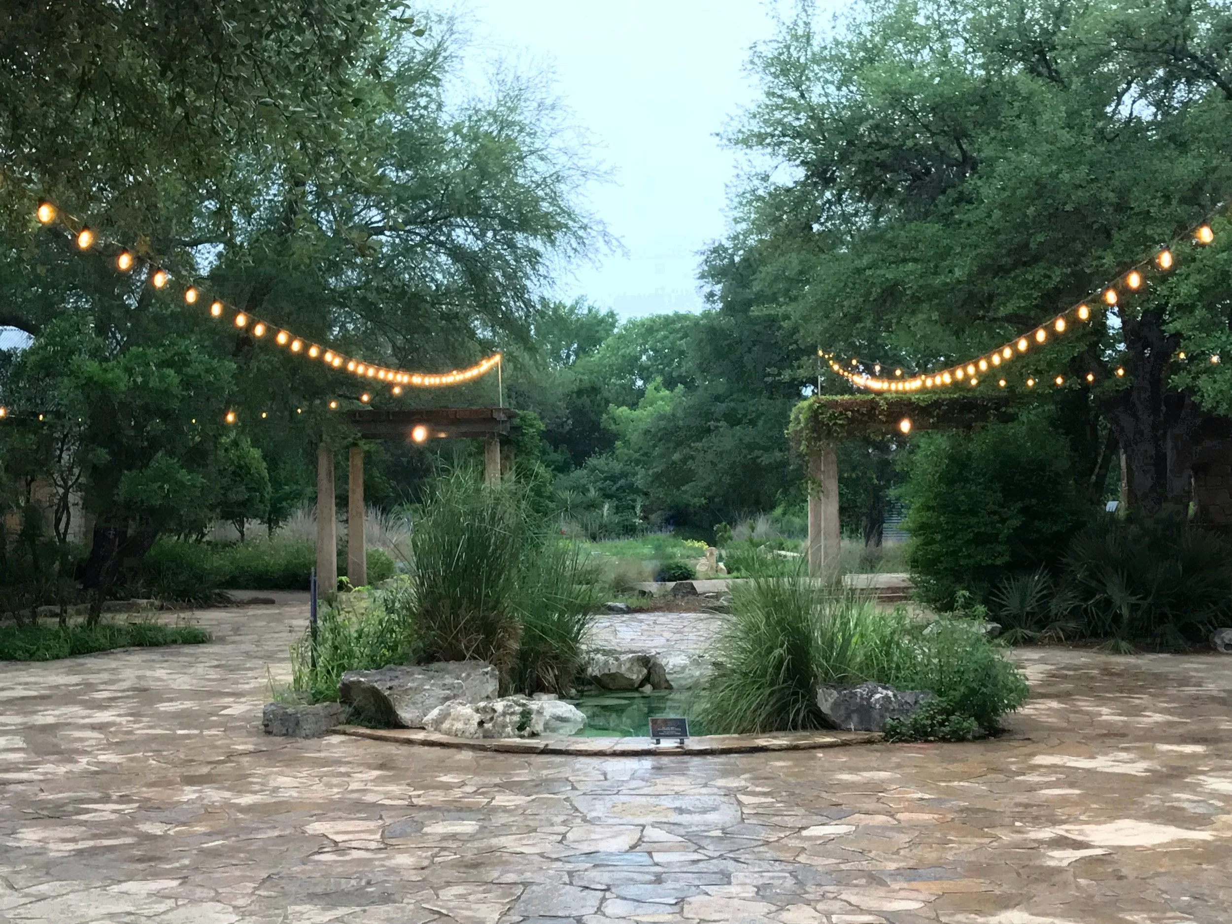 Central courtyard and the "Courtyard Spring" water feature, Lady Bird Johnson Wildflower Center, on deluge day.