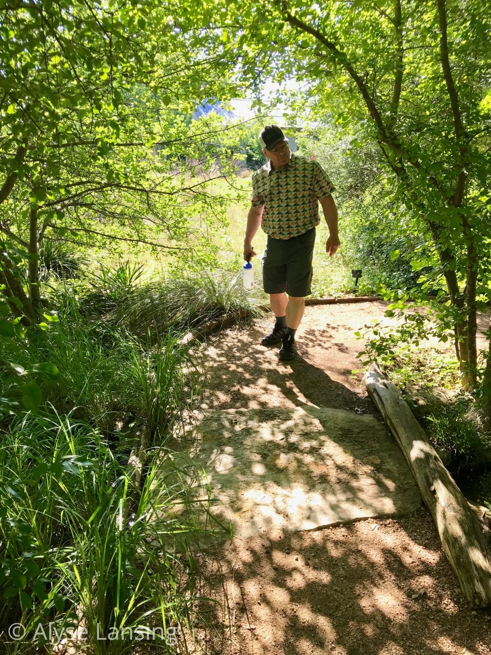  The paths crossing over the stream (a built water feature), effectively enhance stream. The creek-building craftsmanship is flawless! 