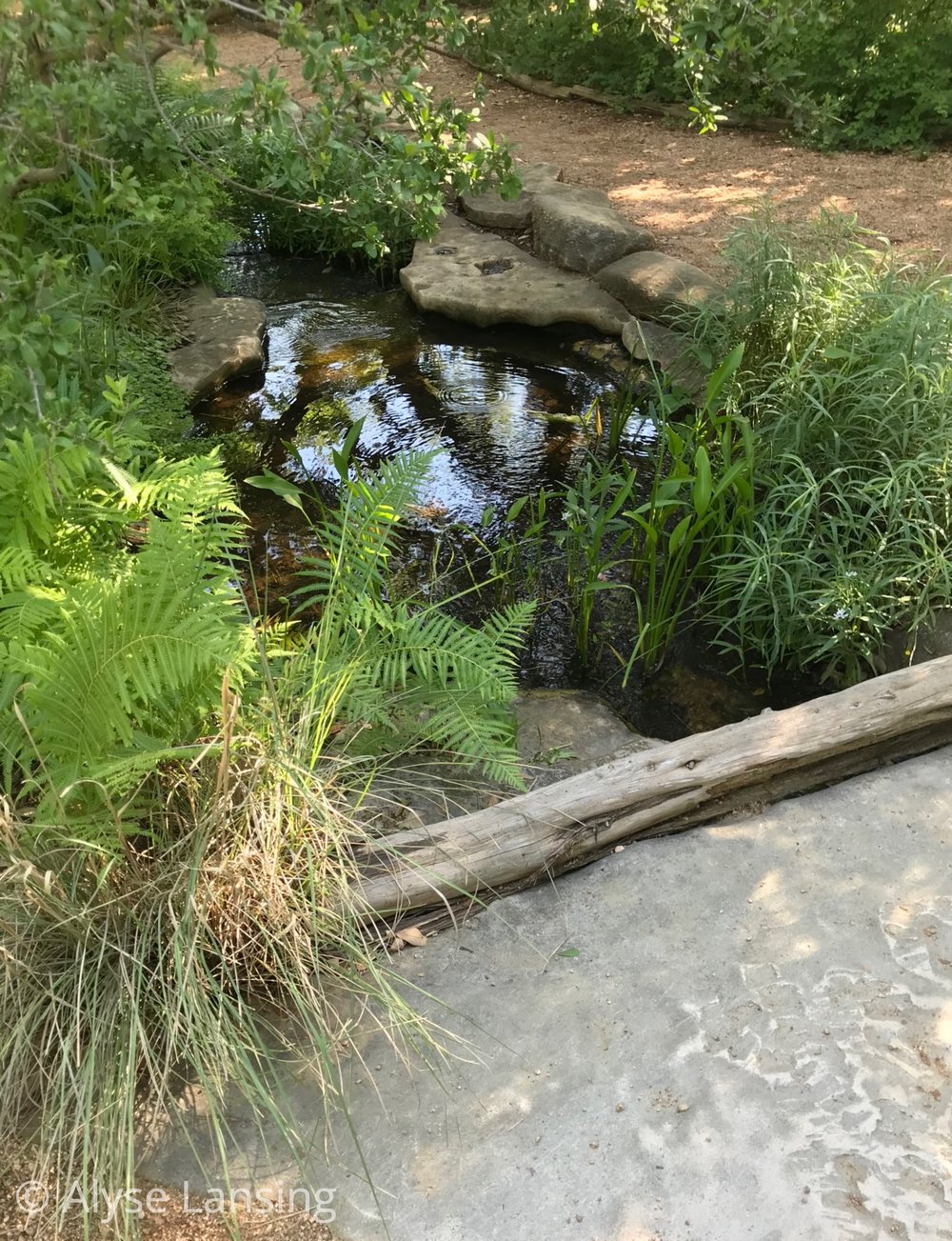  The unobtrusive foot bridges highlight the water in a subtle way. 