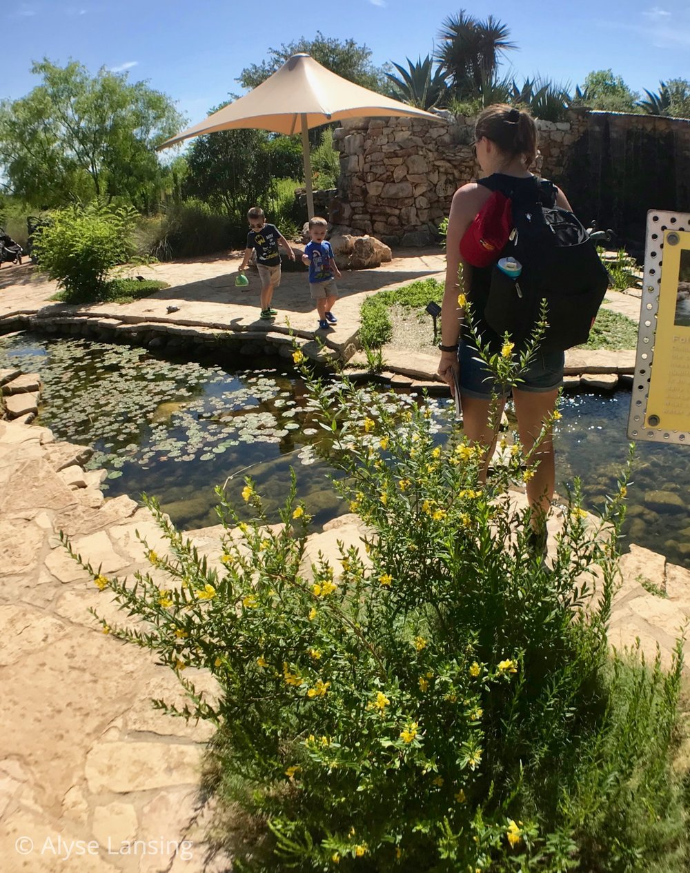  Kids really were enjoying this place. I would think it would be endlessly fun. 