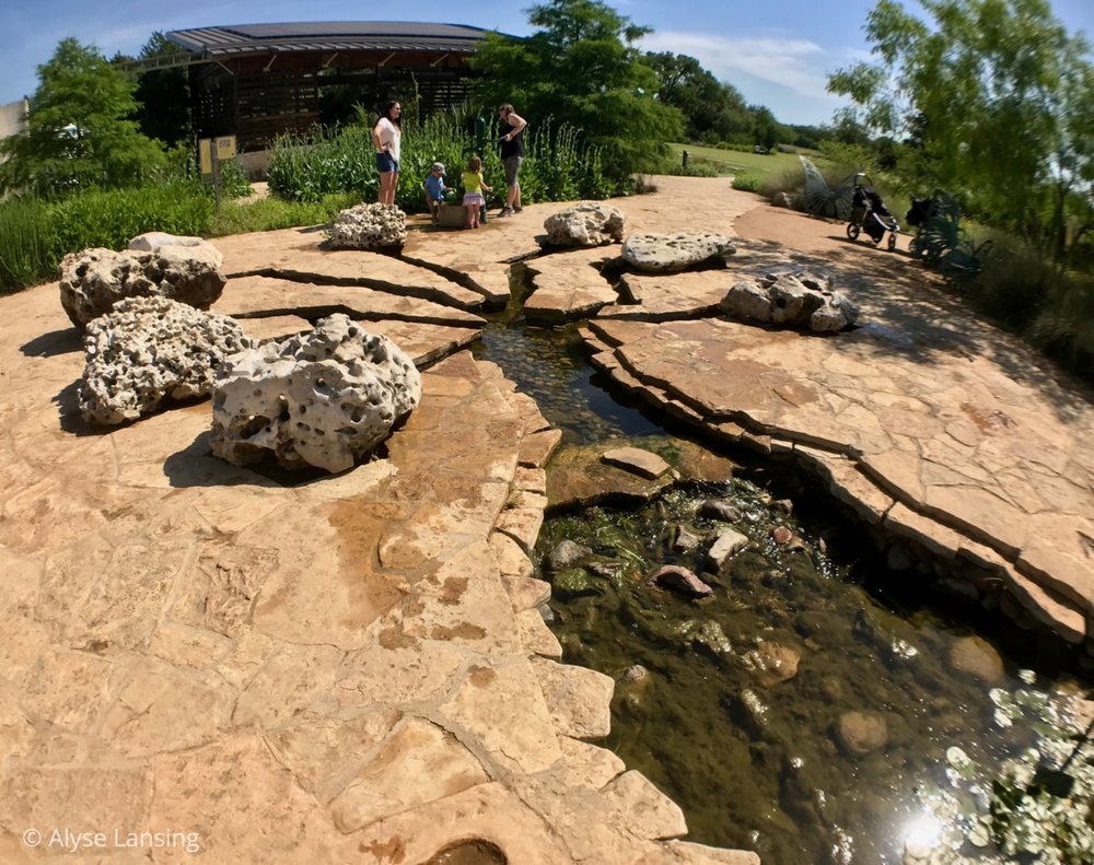  The “headwaters” of Dinosaur Creek (even though they are really the out-take). It has the feeling of a giant dinosaur track. 