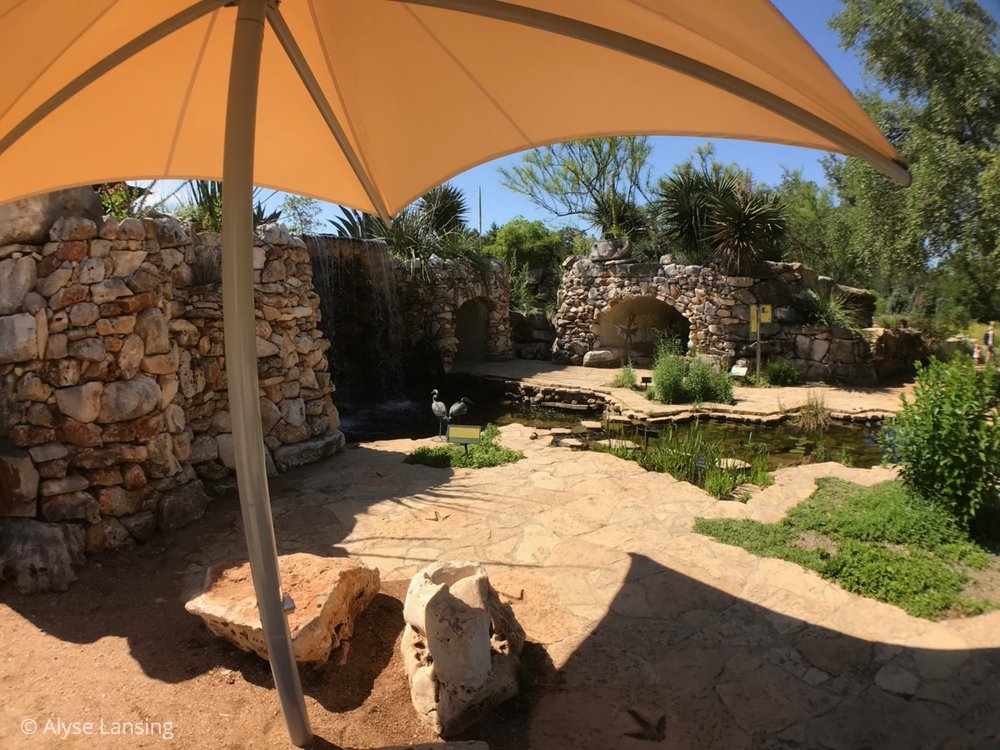  Shade comfort. Looking toward the waterfall (dark spot in center left). The grotto tunnel is straight ahead. Multiple nooks!   