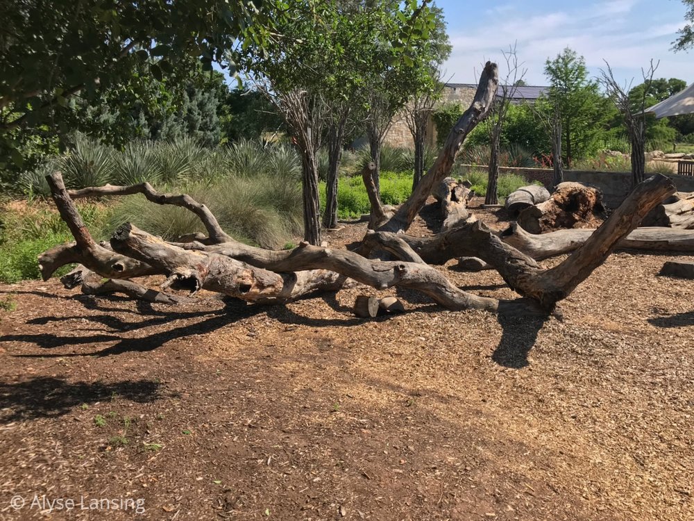  Instead of jungle gyms, climbing logs. 