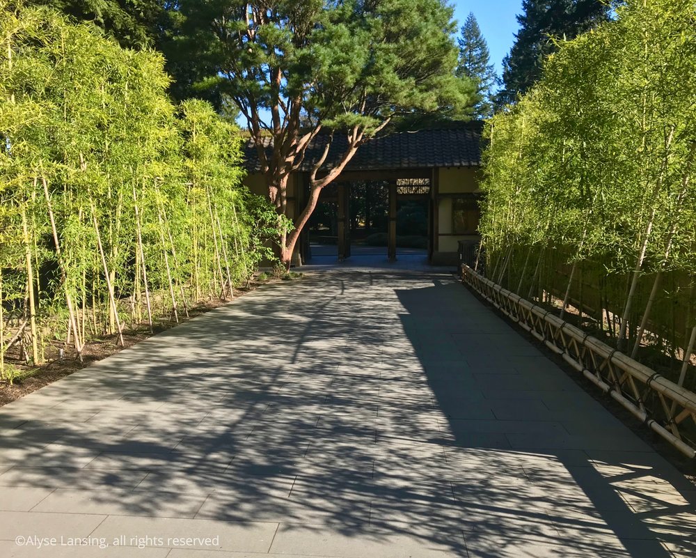  Main garden gate is straight ahead—the old admissions booth. Note the finely pruned red-barked pine. It may be cliche, but it certainly draws  me  forward!    