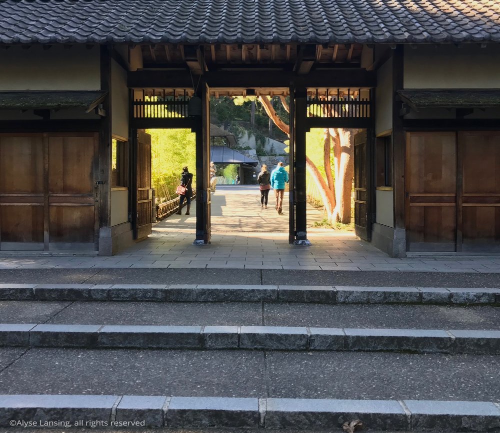  Looking back through the original entry gate, back toward the red-barked pine... 