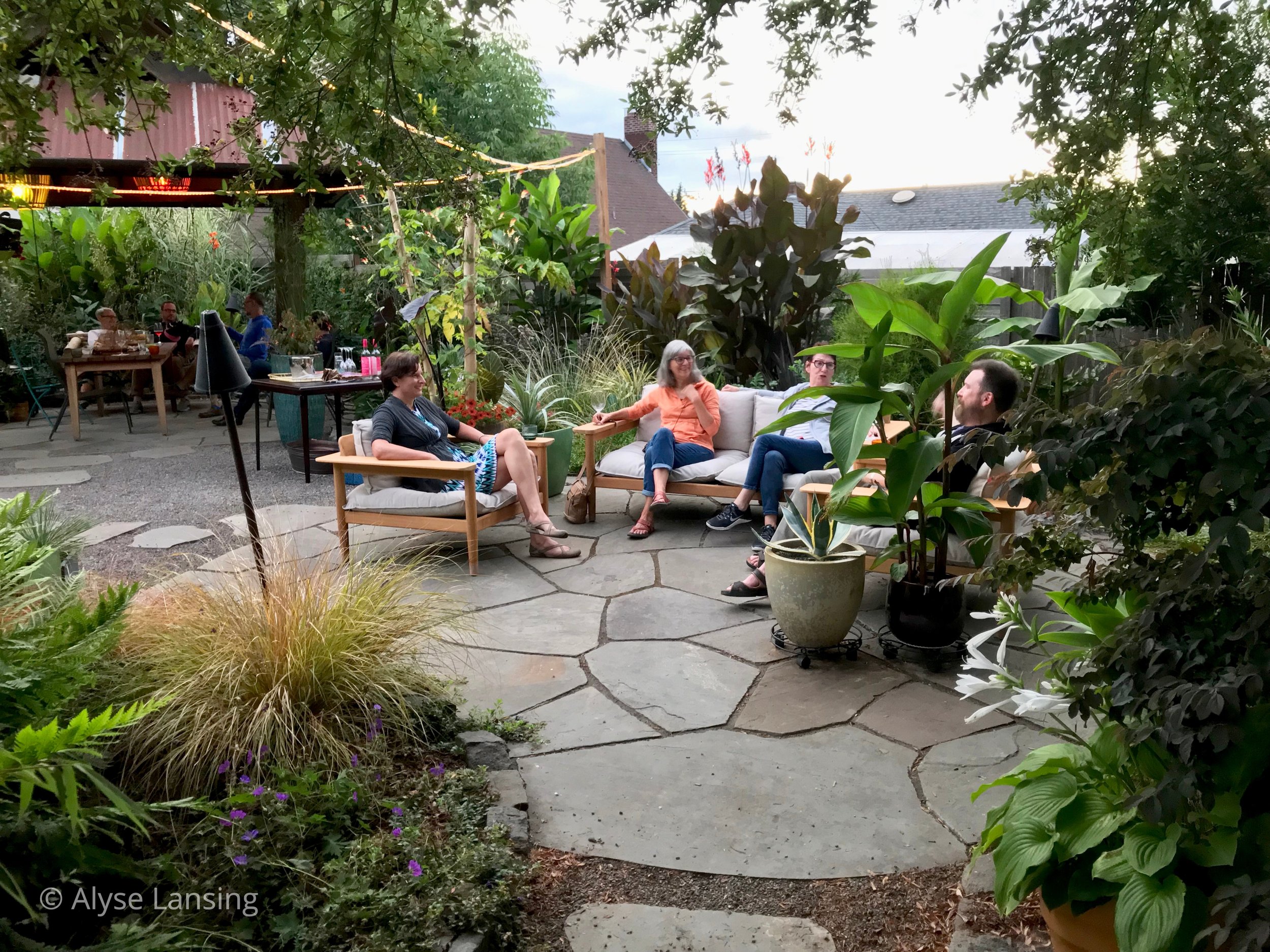 波特兰的一些园艺博主在Heather &格雷格的新后院。
