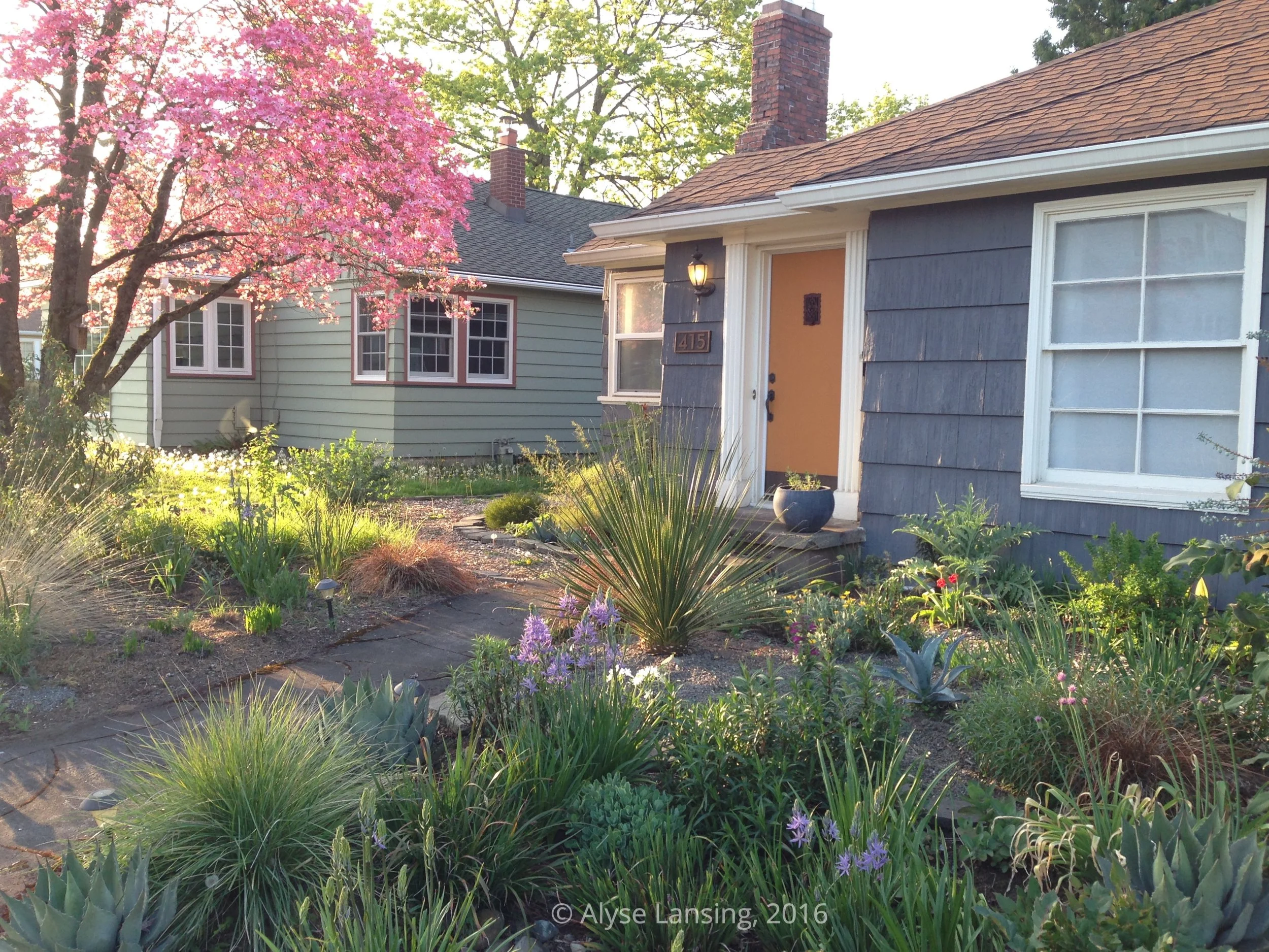 Spring 2016 - The front garden as it looked when I visited 3 years ago.