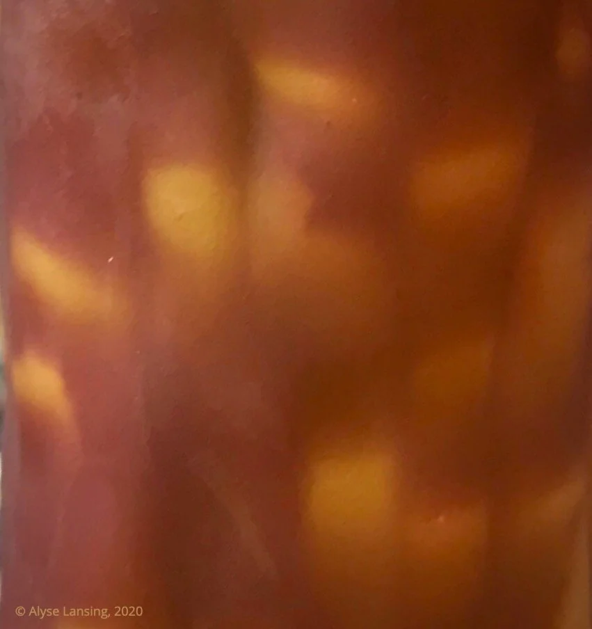 What the red bark of Manzanita does in summer