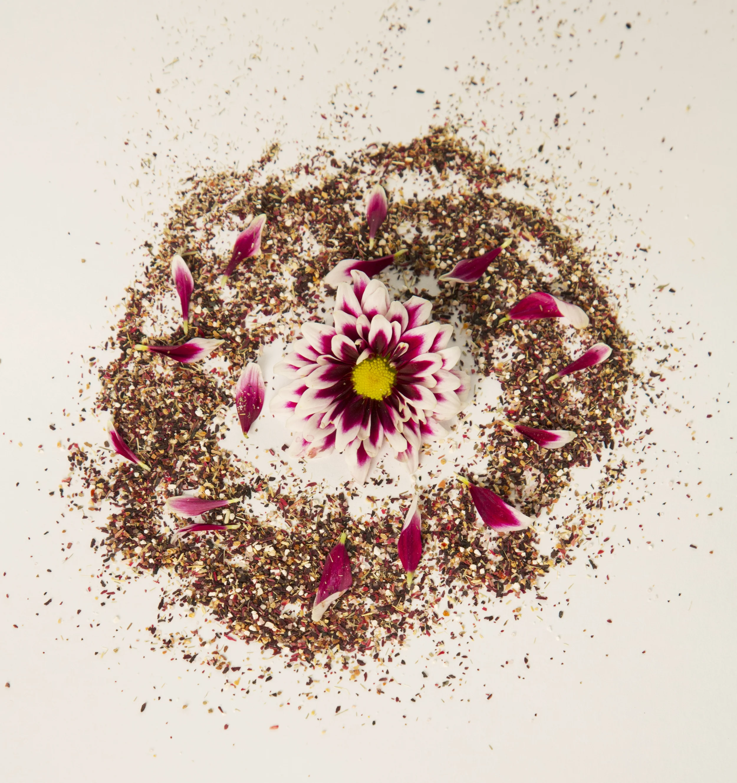 Studio Session-139.jpg