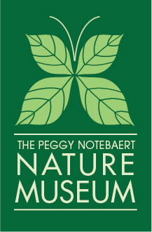 NatureLOGO.png