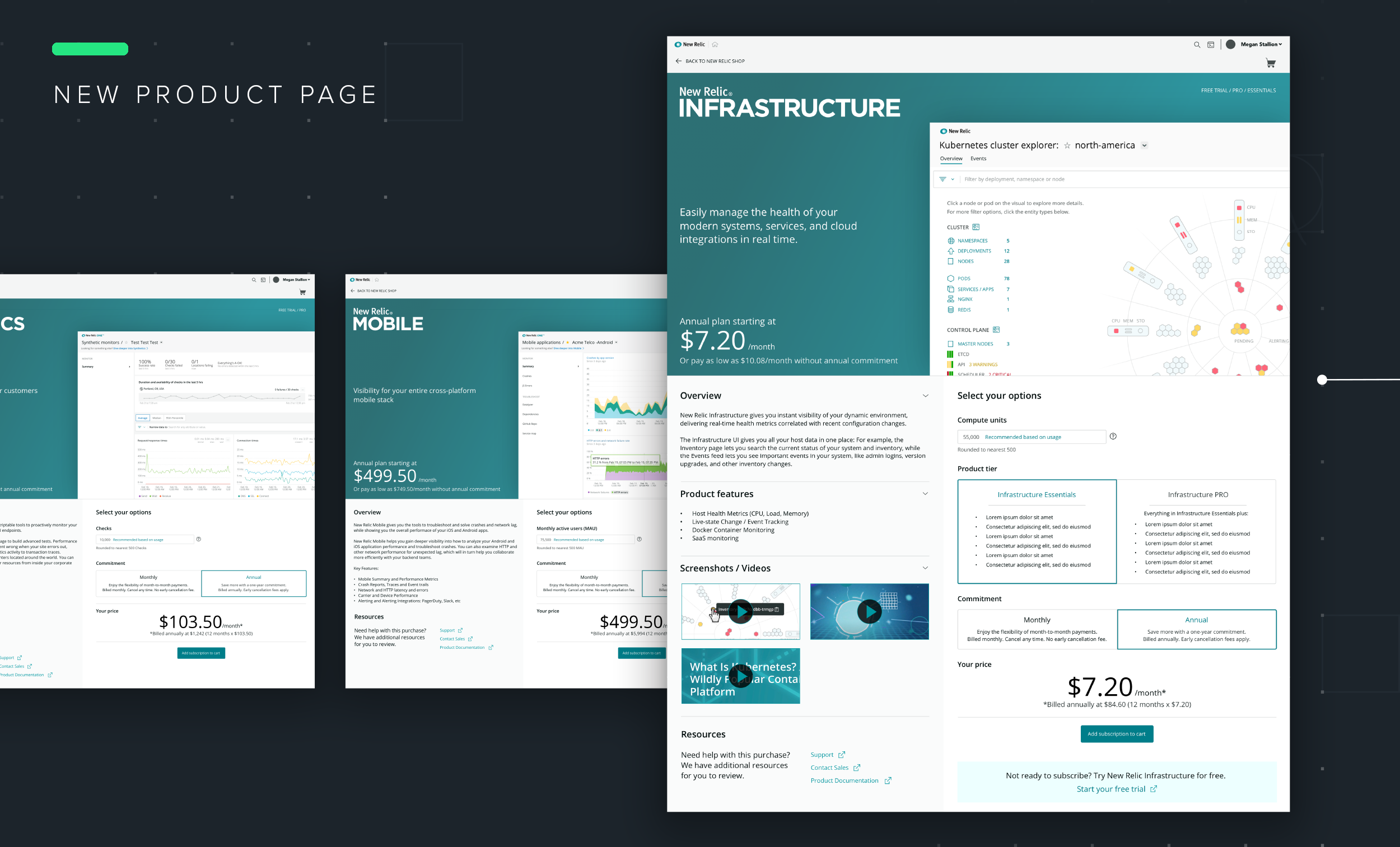 Process_NewRelic11.png