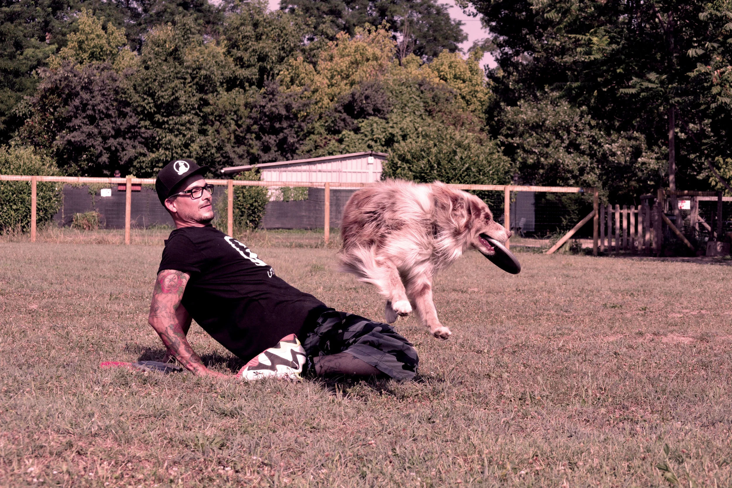 Officina del cane 163.JPG