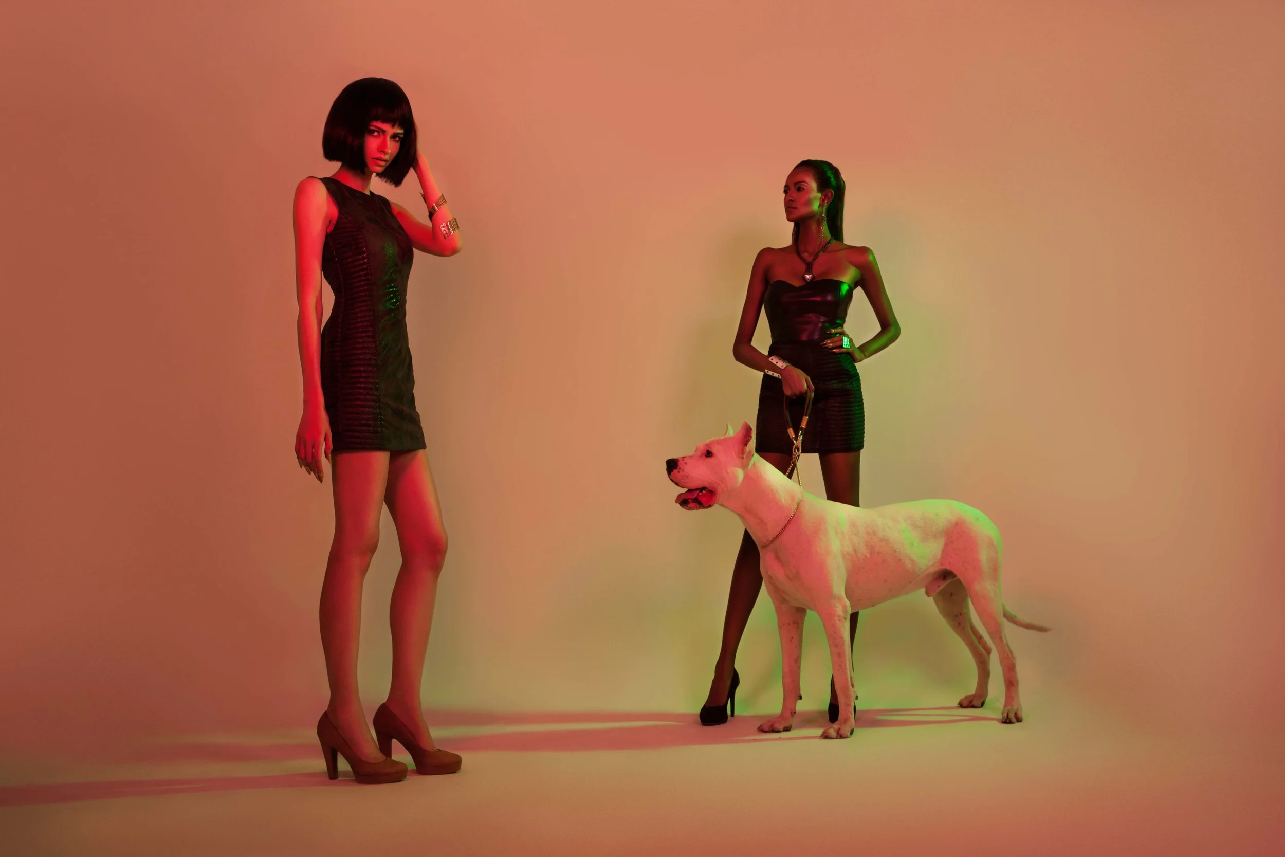 IMG_9562 as Smart Object-1 WEB.jpg