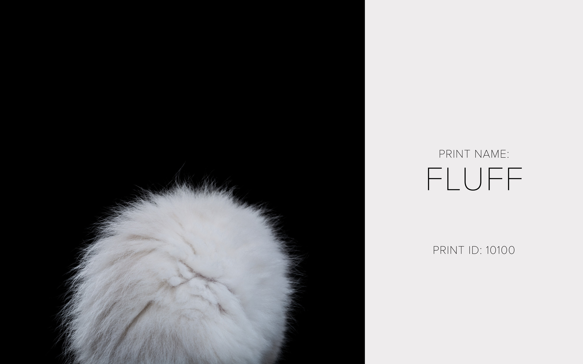 Fluff_Thumb.jpg