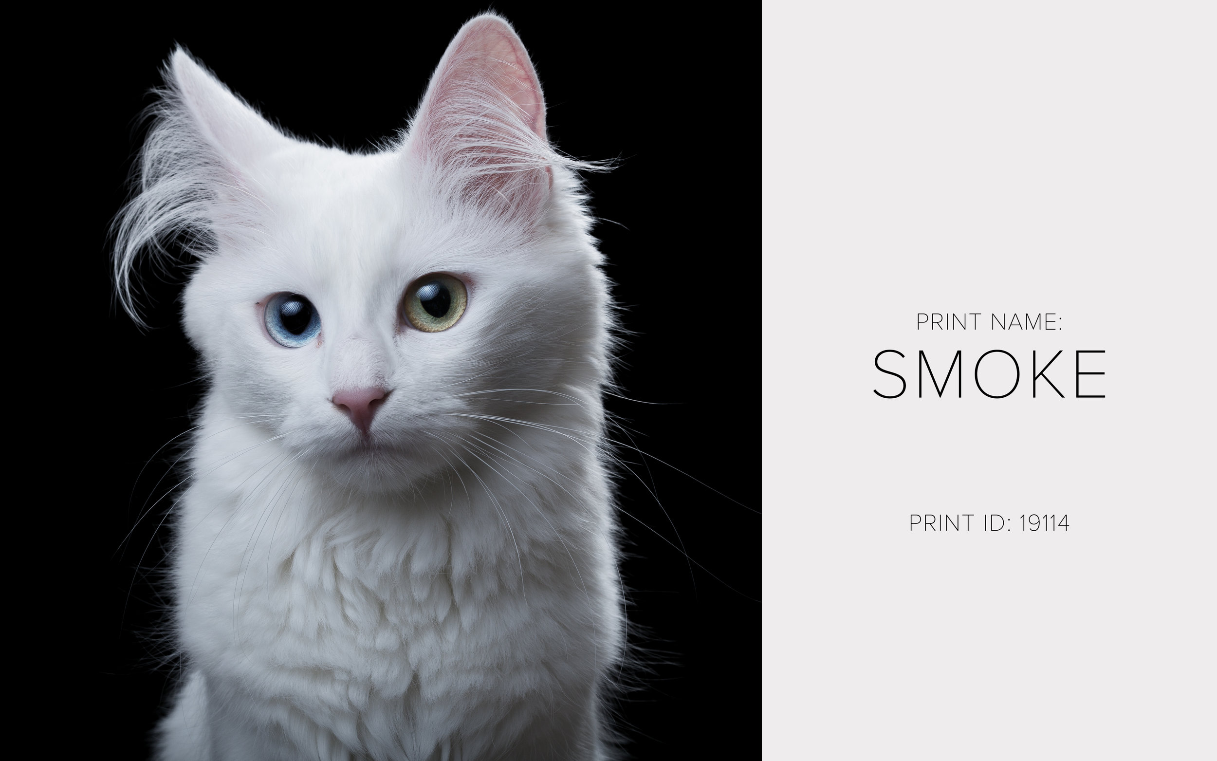Smoke_Thumb.jpg