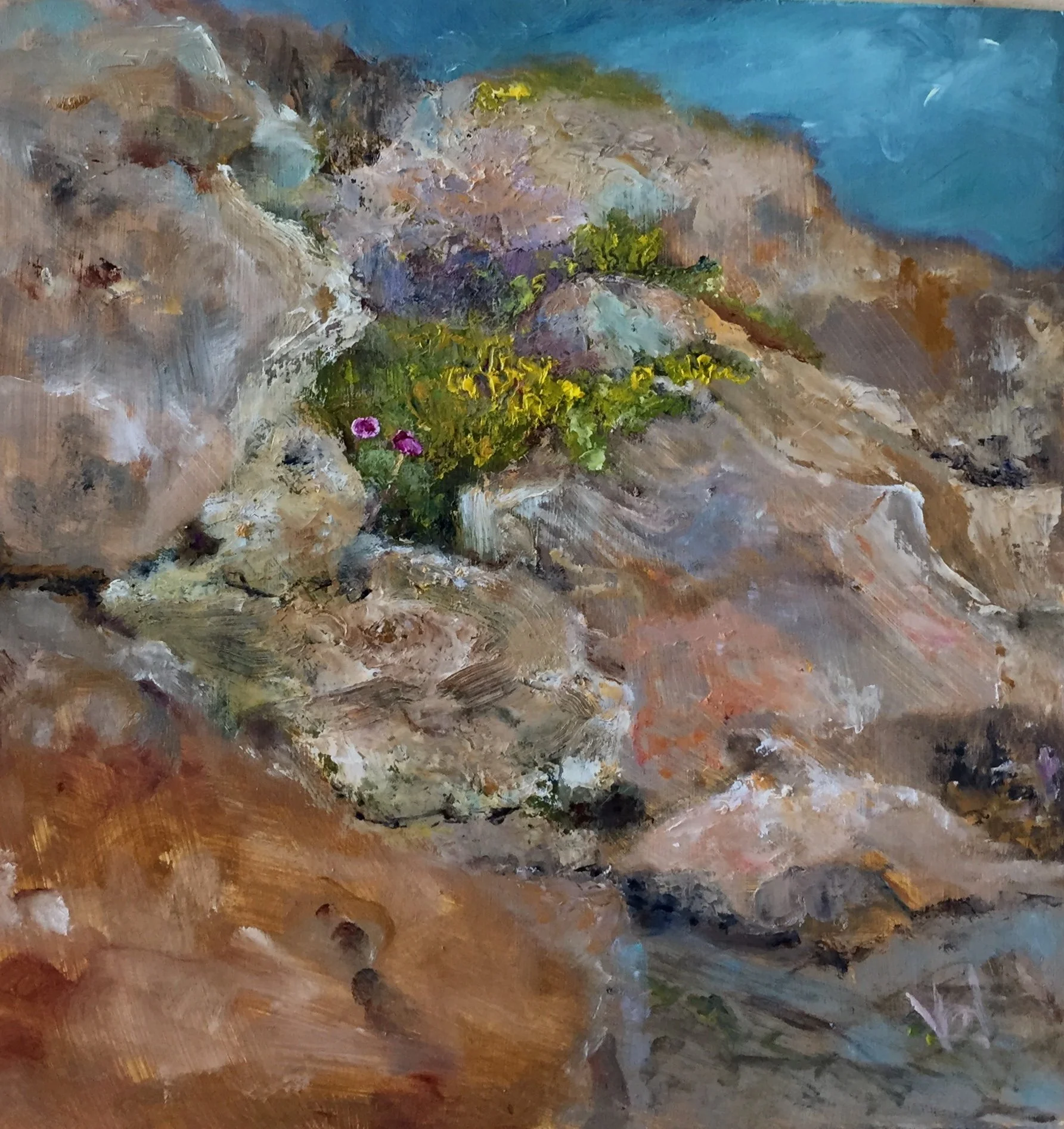 FLOWERS AMONG THE ROCKS