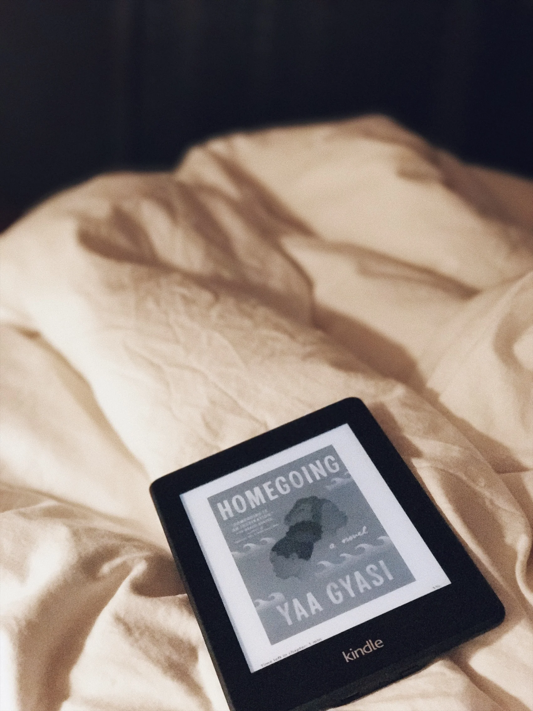 15/ Homegoing — Yaa Gyasi