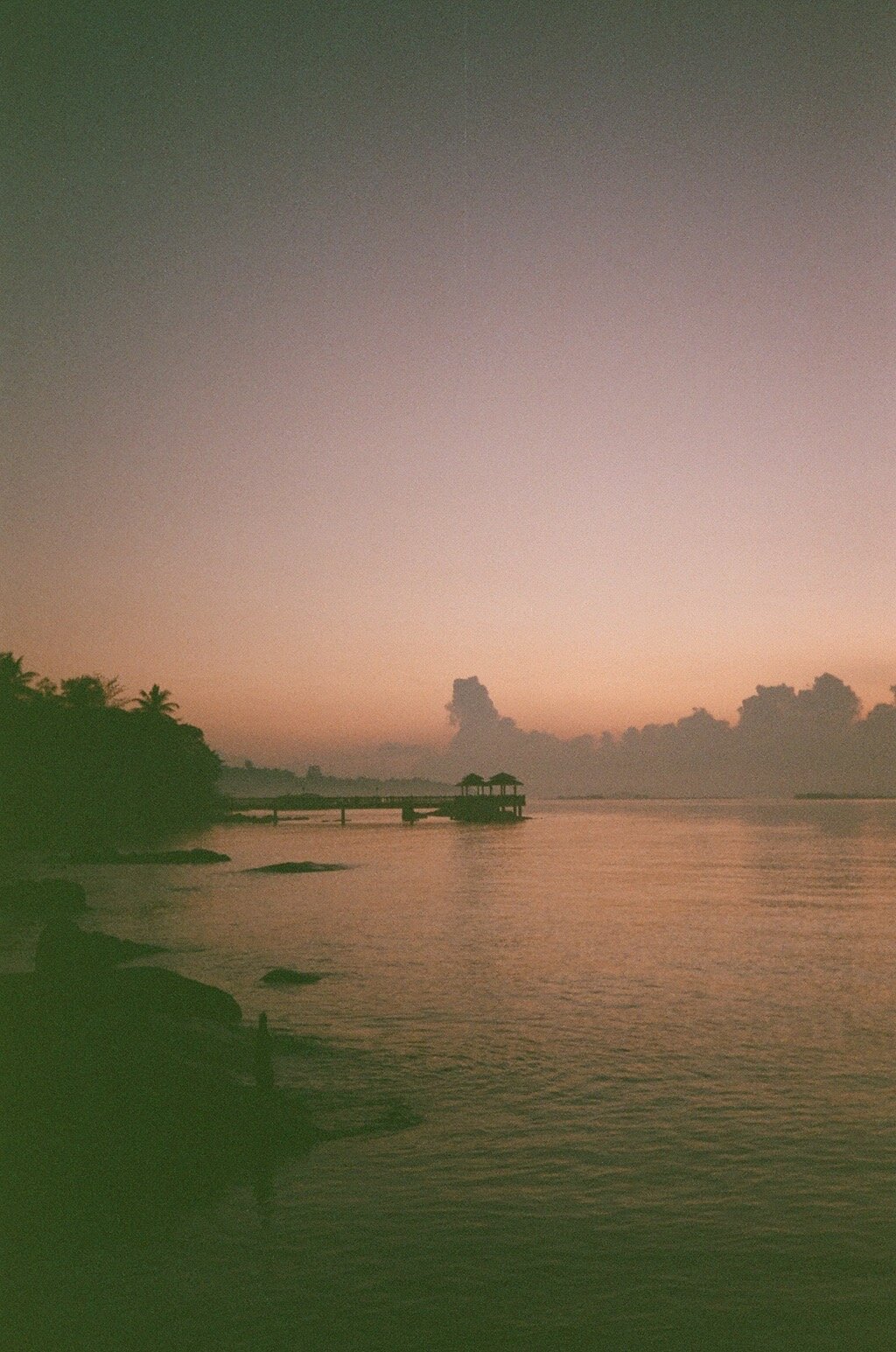 IMG_6837.jpeg