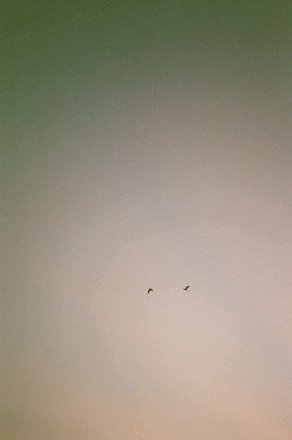 IMG_6838.jpeg