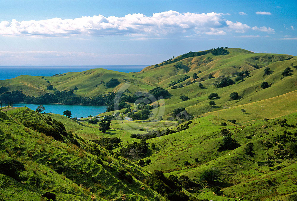 newzealand-4.jpg