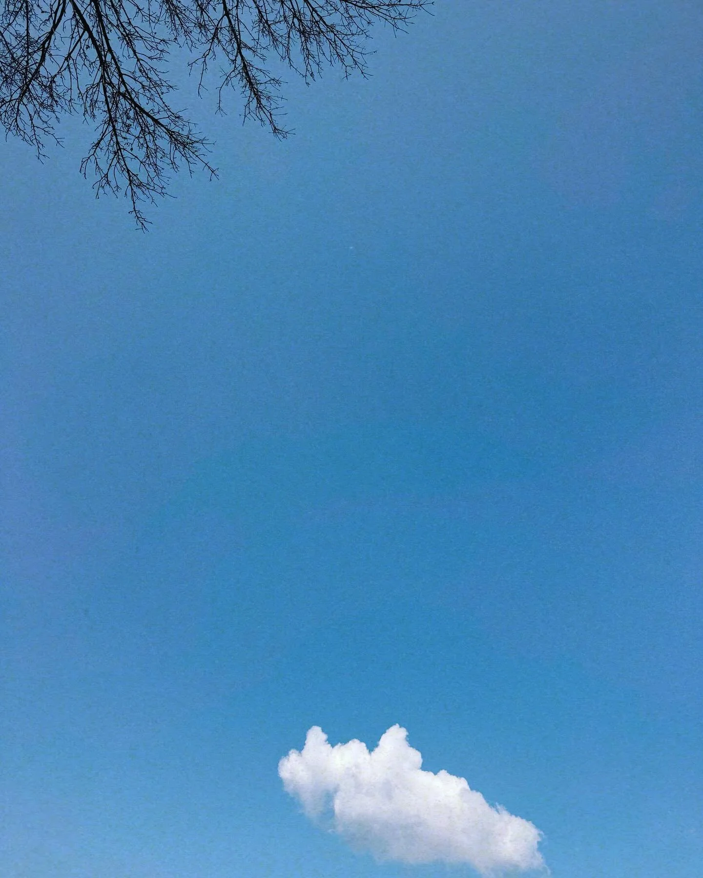 Grateful for blue skies &amp; sunshine &amp; open fields &amp; voice memos &amp; my summer playlist. Musings on nothing &amp; maybe everything all at the same time. 🤍