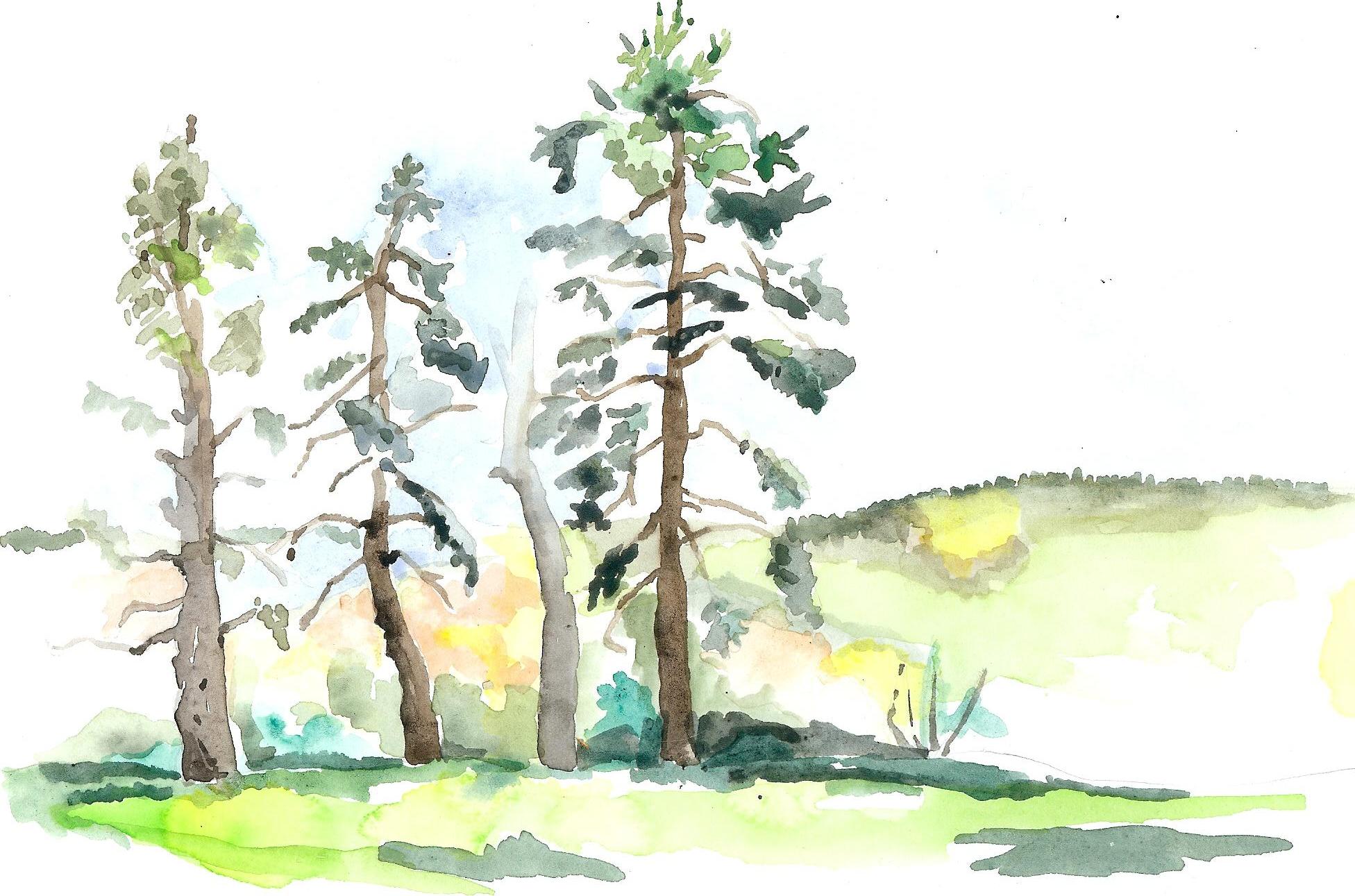 Three Pines