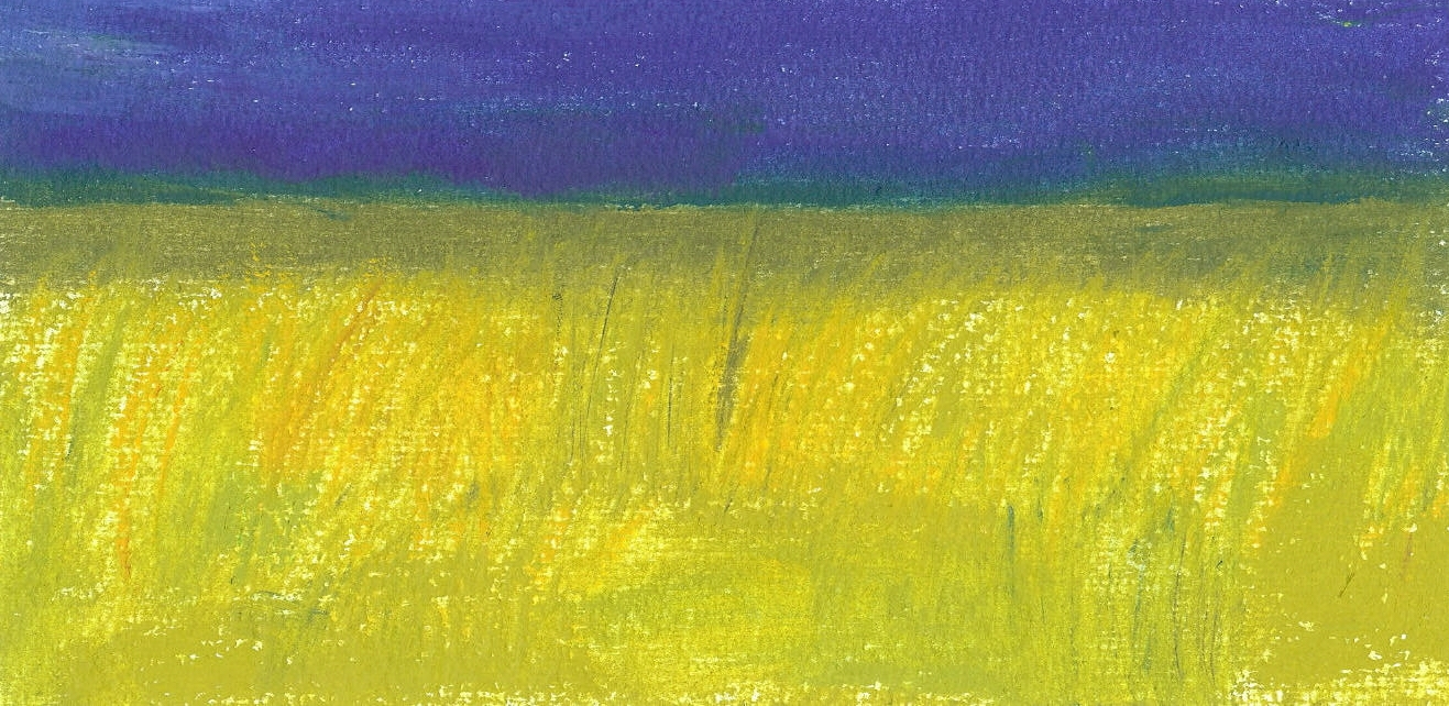 sky and field.jpg