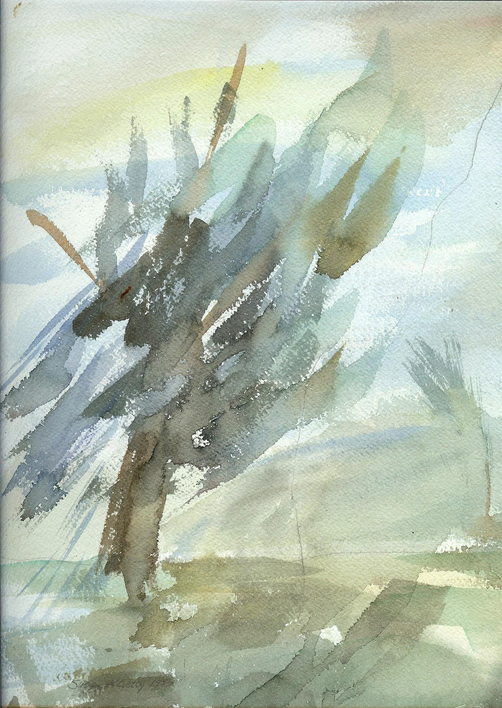 Hurricane